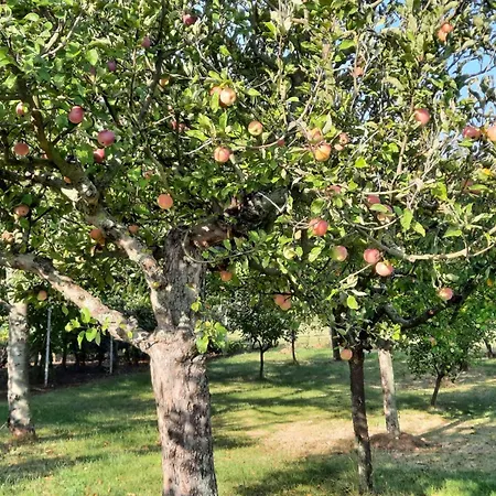 Paradise Slowakia 招待所 Plastovce