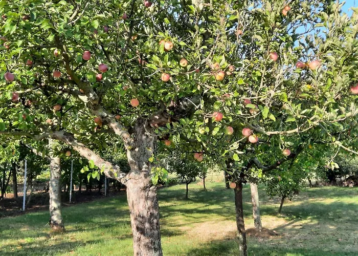 Paradise Slowakia Konukevi Plastovce